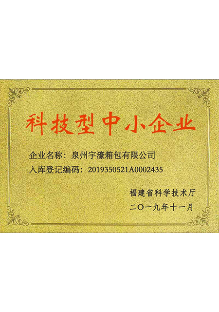 科技型中小企业